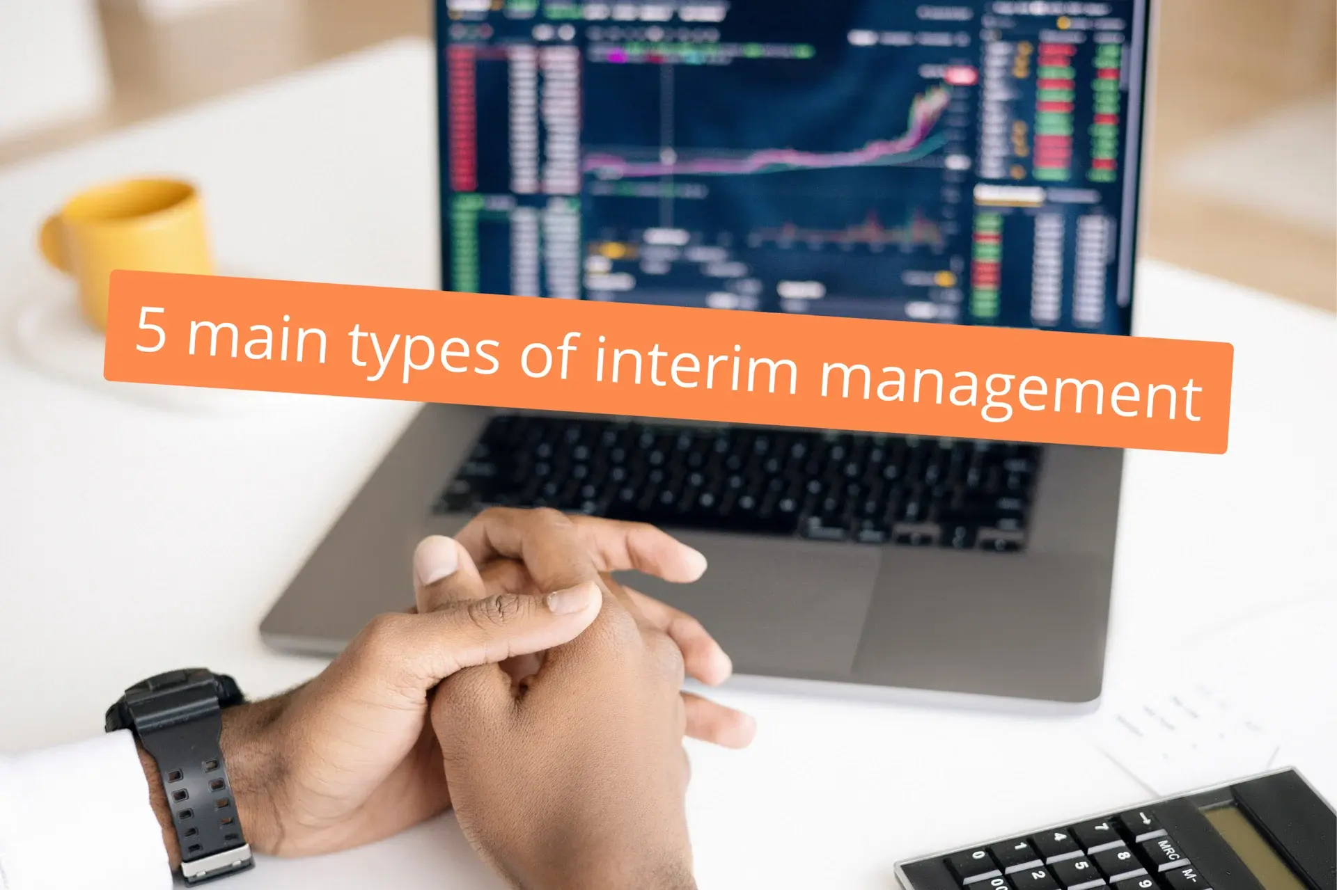 5 main types of interim management